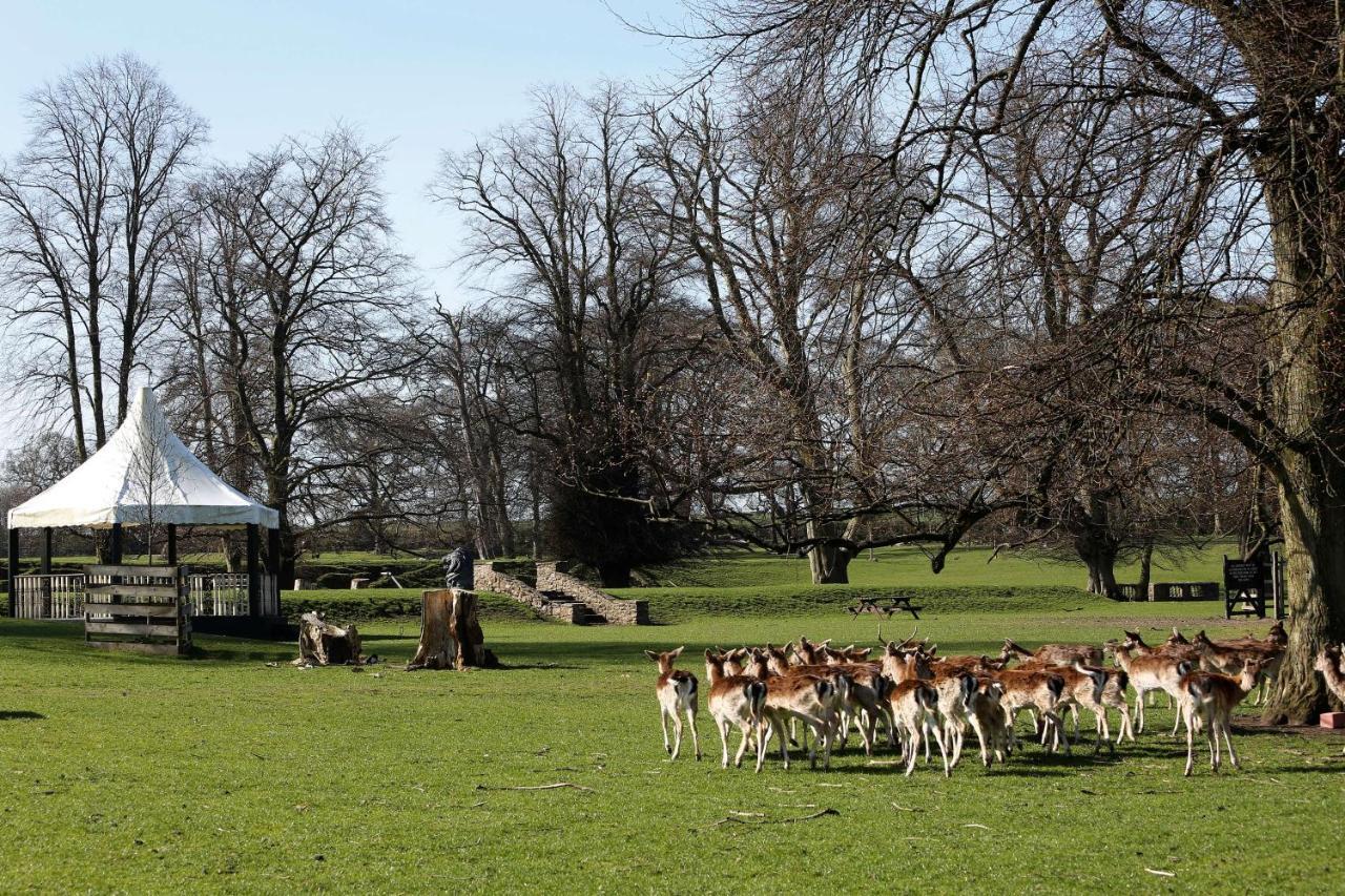 Whitworth Hall Hotel & Deer Park - Durham Spennymoor Eksteriør billede